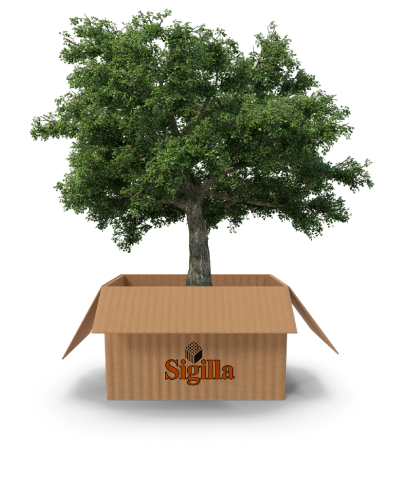 scatola con albero 02-sigilla
